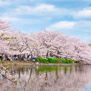 浅草圈4层独栋别墅 免费停车场 近车站 可直达机场 Tokyo
